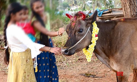 'கோவிந்தா' என்று சொல்லின் வேறொரு பொருள்...