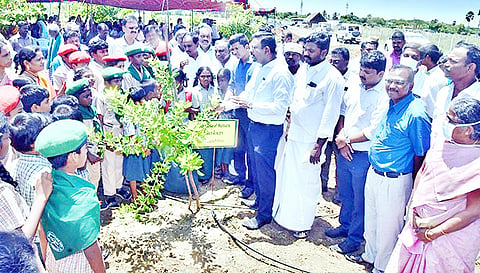 அரியவகை மரங்கள் வளர்க்கப்பட்டு வருவதை பள்ளி மாணவர்களுடன் கலெக்டர் தினேஷ்பொன்ராஜ் ஆலிவர் பார்வையிட்டு விளக்கமளித்தார்.