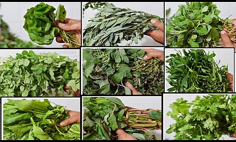 கீரைகளும்.. பயன்களும்..