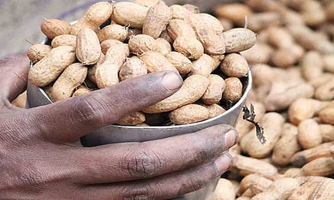 கோப்புபடம்