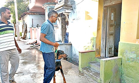 கொள்ளை முயற்சி நடந்த வீட்டில் போலீசார் மோப்பநாயுடன் வந்து விசாரணை நடத்தினர்.