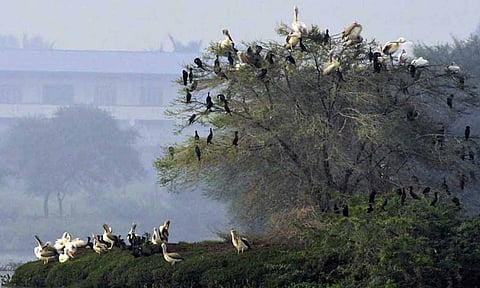 கோப்புபடம். 