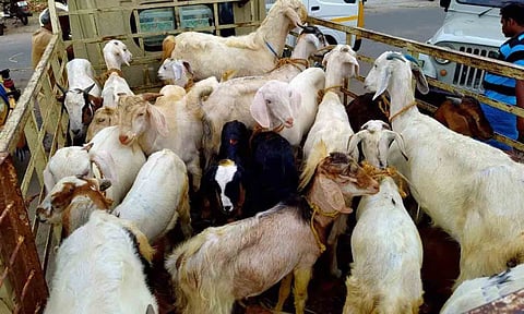 கோப்புபடம். 