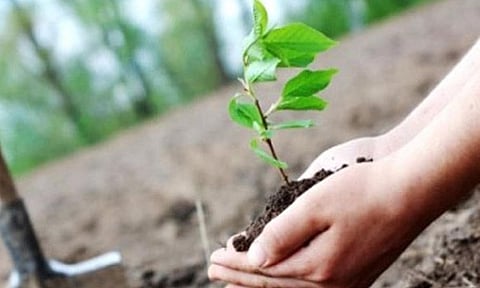 கோப்புபடம்.