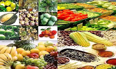 கோப்புபடம். 