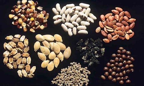 கோப்புபடம். 
