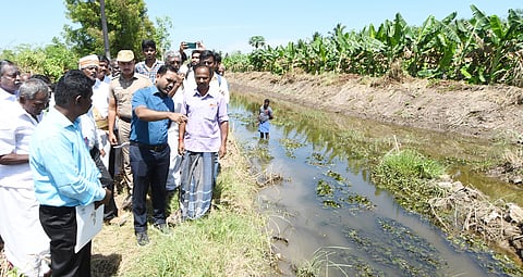 திருப்புவனம் கண்மாய் மற்றும் வரத்து கால்வாய் பகுதியில் கலெக்டர் மதுசூதன் ரெட்டி ஆய்வு செய்தார்.