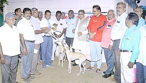 முகாமில் நாய்களுக்கு தடுப்பூசி போடப்பட்டது.
