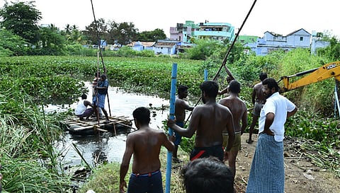  ஆகாயத்தாமரைகள் மற்றும் முட்புதர்களை அகற்றிய போது எடுத்த படம்.