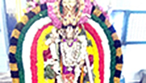 சிறப்பு அலங்காரத்தில் பாவாசாமி அக்ரஹார ஆஞ்சநேயர்.