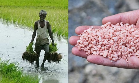 விவசாயி, பொட்டாஷ் உரம்