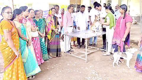 தடுப்பூசி முகாம் நடந்தது.