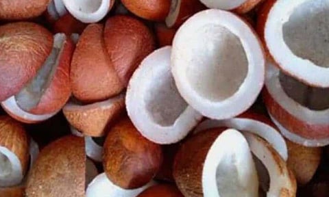 கோப்புபடம்
