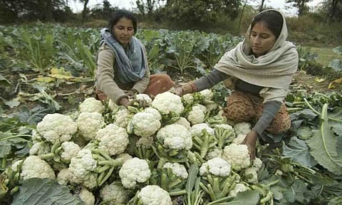 கோப்புபடம்.