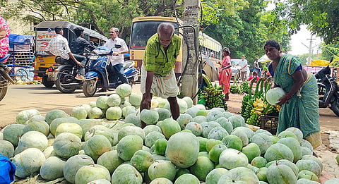 விற்பனைக்கு வந்த பூசணிக்காய்களை படத்தில் காணலாம். 