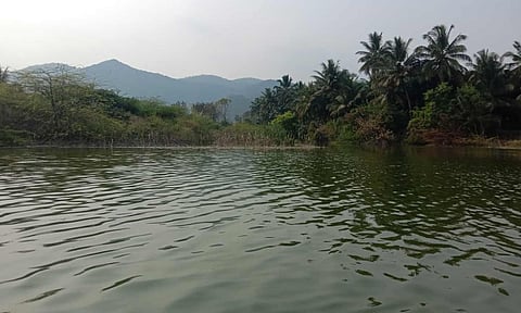 மேட்டுப்பாளையம் அருகே அன்சூர் குளத்தில் டீசல் படகு பயன்படுத்த மீனவர்கள் எதிர்ப்பு