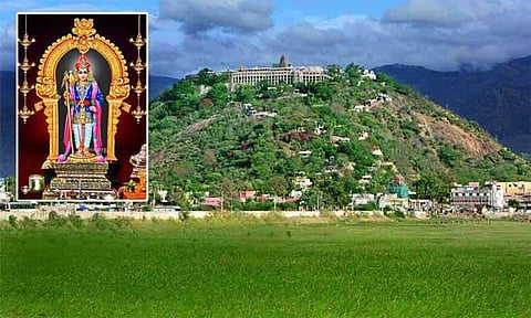 பழனி முருகன் சில தகவல்கள்