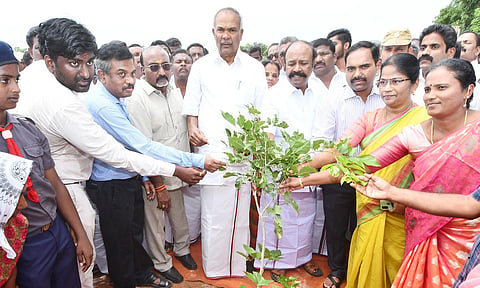 காளையார்கோவில் அரசு பள்ளி வளாகதத்தில் சபாநாயகர் அப்பாவு, அமைச்சர் பெரியகருப்பன் ஆகியோர் மரக்கன்று நடுதலை தொடங்கி வைத்த காட்சி. அருகில் கலெக்டர் மதுசூதன்ரெட்டி மற்றும் பலர் உள்ளனர்.