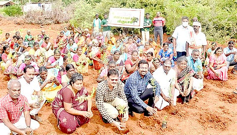 ஊருக்கு ஒரு வனம் திட்டத்தை கலெக்டர் தினேஷ்பொன்ராஜ் ஆலிவர் மரக்கன்றுகள் நட்டு தொடங்கி வைத்தார்.