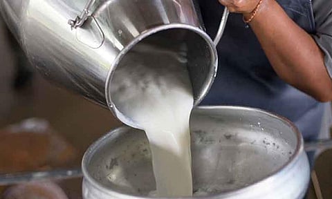 கோப்புபடம். 