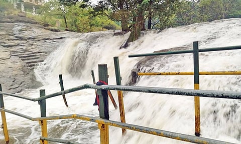 தேனி மாவட்டத்தில் கனமழை- கும்பக்கரை அருவியில் வெள்ளப்பெருக்கால் குளிக்க தடை