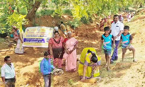 கடையம் பெரும்பத்து ஊராட்சியில் பனை விதைகளை ஊராட்சி மன்ற தலைவர் பொன் ஷீலா பரமசிவன் நட்டு தொடங்கி வைத்த காட்சி.