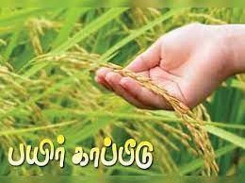 பயிர் காப்பீடு செய்ய விவசாயிகளுக்கு அழைப்பு