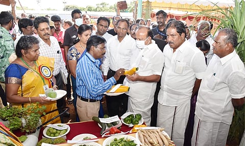 மதுரை ஒத்தக்கடை அரசு வேளாண் கல்லூரியில் நடந்த மாநில அளவிலான உழவர் திருவிழாவில் அமைச்சர்கள் எம்.ஆர்.கே.பன்னீர்செல்வம், பி.மூர்த்தி ஆகியோர் பங்கேற்று கண்காட்சியை பார்வையிட்டனர். அருகில் முதன்மை செயலாளர் சமயமூர்த்தி, கலெக்டர் அனீஷ் சேகர், பூமிநாதன் எம்.எல்.ஏ., வேளாண் பல்கலைக் கழக துணைவேந்தர் கீதாலடசுமி உள்ளனர்.