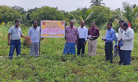 மத்தூர் அருகே உள்ள மேக்கலாம்பட்டியில் பயிர் விளைச்சல் போட்டியில் வேளாண்மை துணை இயக்குநர் மனோகரன் தலைமையில் கதிரி லெபாக்சி 1812- ரக நிலக்கடலை அறுவடை நடைபெற்றது.