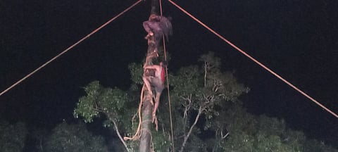 வேலூரில் உறியடி விழா நடந்த காட்சி.