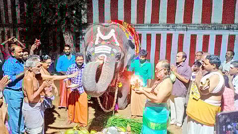 கோமதி யானைக்கு தீபாராதனை நடந்தபோது எடுத்தபடம்.