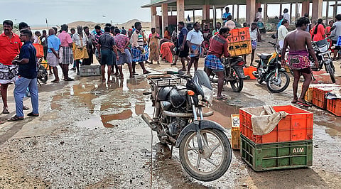 மீன் வாங்க திரண்ட பொதுமக்களை படத்தில் காணலாம்.