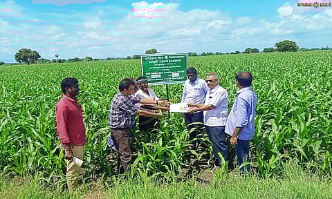 ஆய்வு நடைபெற்றபோது எடுத்தபடம்.