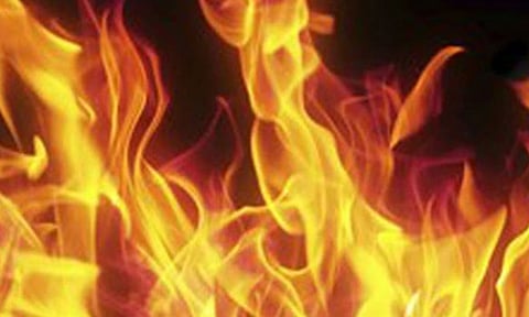 உத்திரமேரூரில் மின்னல் தாக்கி 2 தென்னை மரங்கள் எரிந்தன