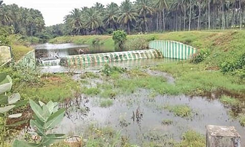கோப்புபடம்.
