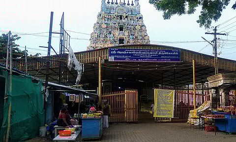 ஆலங்குடி குரு பகவானை எப்படி வழிபட வேண்டும்?