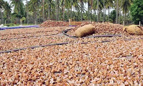 கோப்புபடம். 