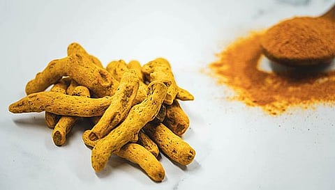 மகளிர் நலனில் சித்த மருத்துவம்- மார்பகப் புற்றுநோய் விழிப்புணர்வும் தடுப்பு முறையும்