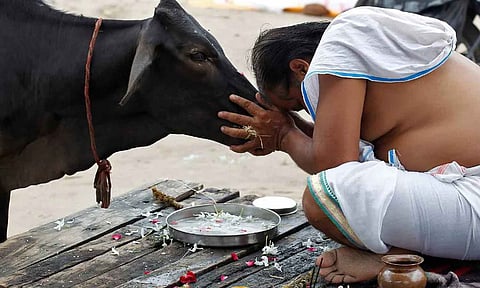 வாஸ்து தோஷத்தை நீக்கும் கோமாதா வழிபாடு