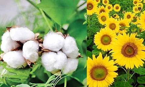 கோப்புபடம். 