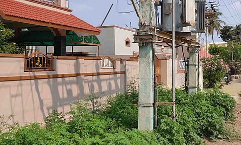 புதர்மண்டி கிடக்கும் முட்புதர்களை படத்தில் காணலாம். 