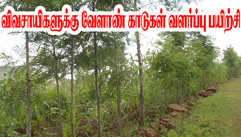 கபிலர்மலை வட்டார விவசாயிகளுக்கு வேளாண் காடுகள் வளர்ப்பு பயிற்சி