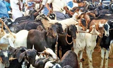 கோப்புபடம். 