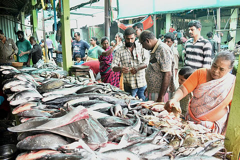 ஈரோடு மார்க்கெட்டில் மீன்கள் வரத்து அதிகரிப்பு