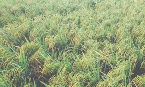 கோப்புபடம். 