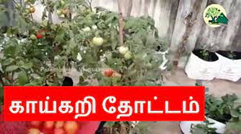 காய்கறி தோட்டம் அமைக்கும் பணி