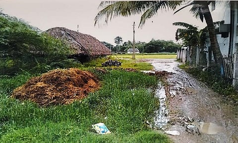  குண்டும், குழியுமான சாலையை படத்தில் காணலாம் 