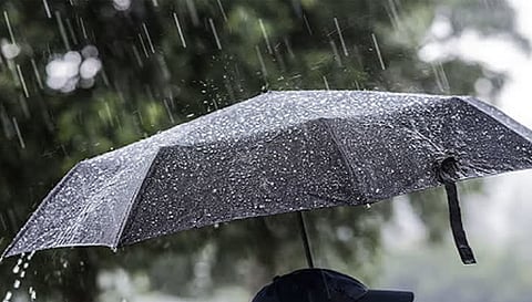 சேலம் மாவட்டத்தில் சாரல் மழை வீரகனூரில் 24 மி.மீ. பதிவு