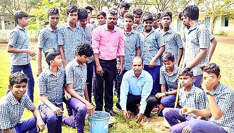 மரக்கன்று நடப்பட்டது.