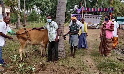 கோப்புபடம்.